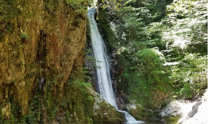 Waterfalls