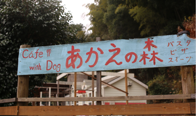Cafe あかえの森 with Dog